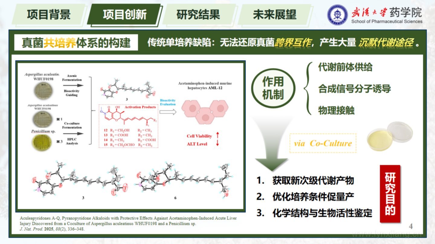 Concept slide explaining why co-culture is used to activate silent metabolite pathways in CL-1.